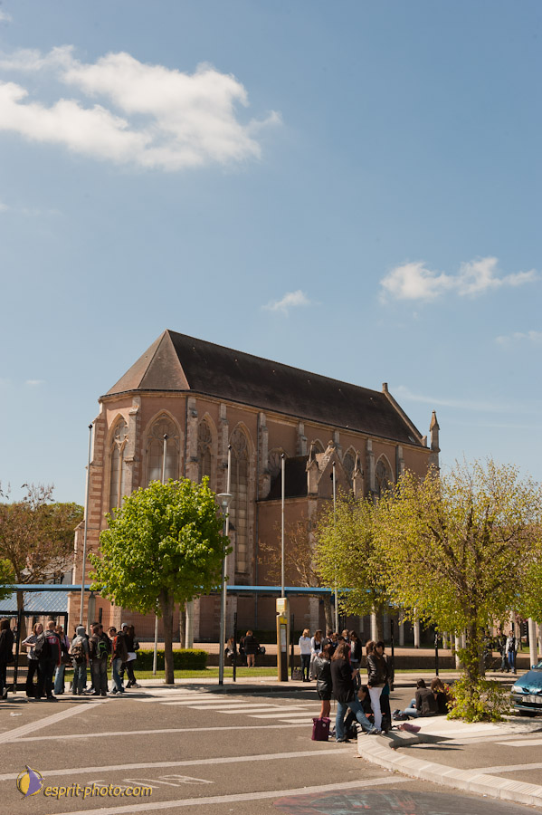 Nom de l'image : D30102187a_(c)Norbert-JUNG.com — Description :